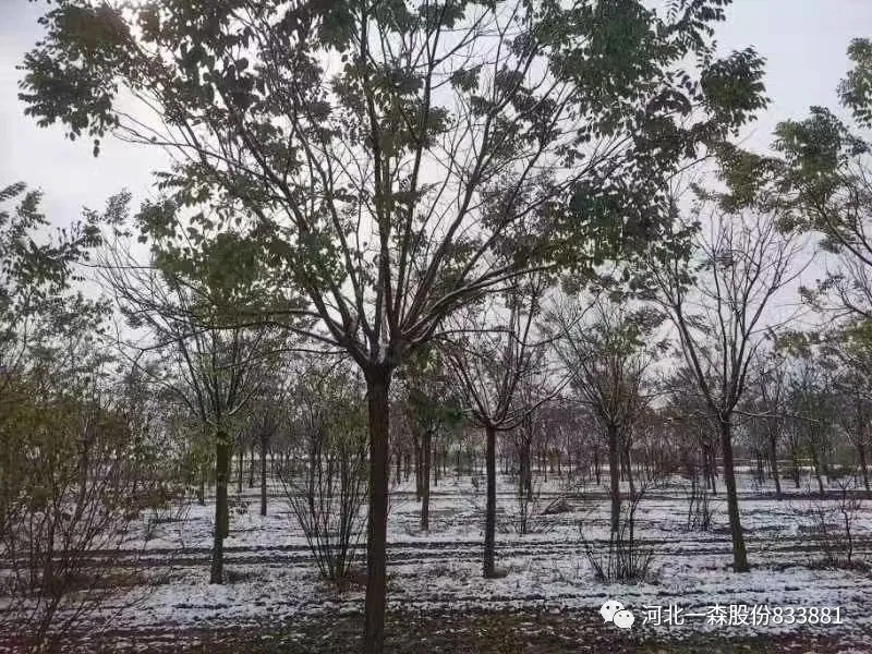 03.webp (1).jpg 03.webp (1).jpg